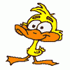 scruffyduck